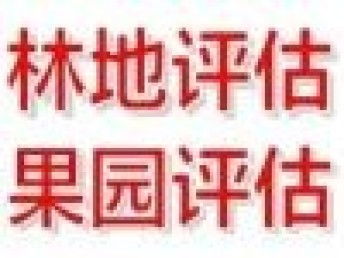 圖 專業(yè)快速評(píng)估公司 北京會(huì)計(jì)審計(jì)